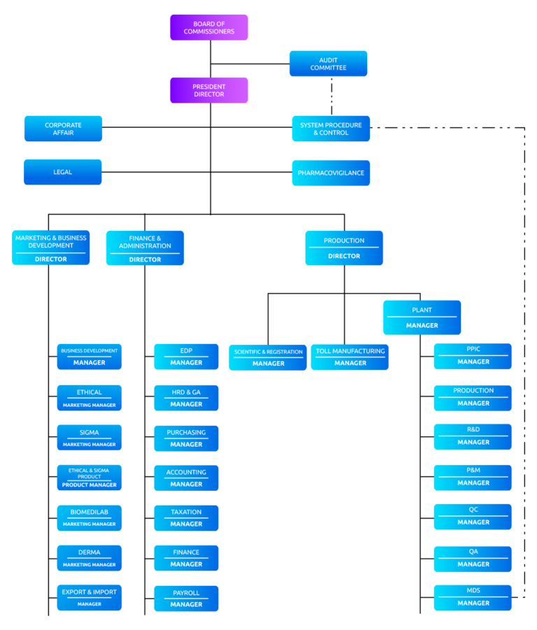 Organization Structure – PT Pyridam Farma Tbk.