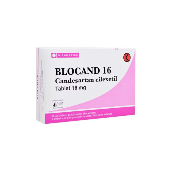 Blocaland-16.jpg